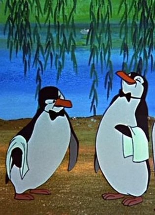 MP pinguins